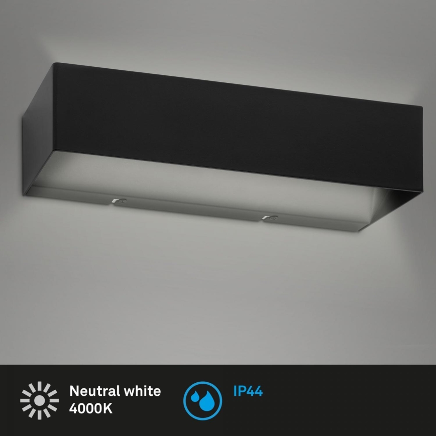 Briloner 2204-015 - LED Outdoor wall light LED/8W/230V IP44 black