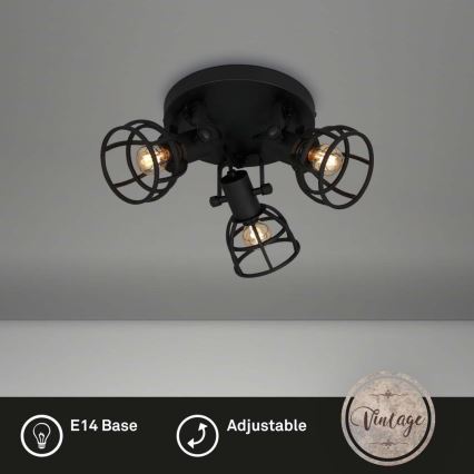 Briloner 2669-035 - Spotlight RETRO 3xE14/25W/230V