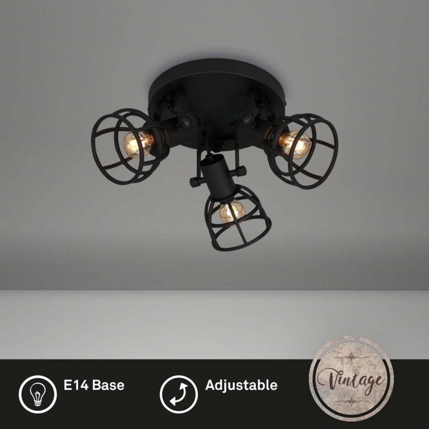 Briloner 2669-035 - Spotlight RETRO 3xE14/25W/230V