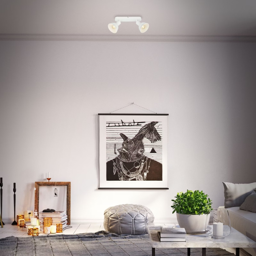 Briloner 2674-026 - Spotlight RETRO 2xE14/25W/230V white