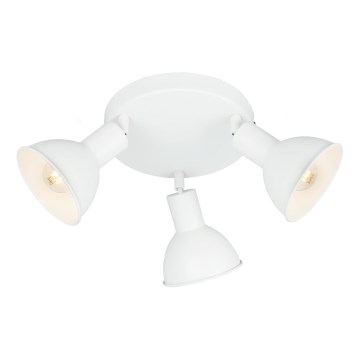 Briloner 2674-036 - Spotlight RETRO 3xE14/25W/230V white