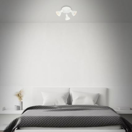 Briloner 2674-036 - Spotlight RETRO 3xE14/25W/230V white