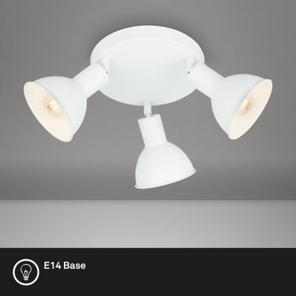 Briloner 2674-036 - Spotlight RETRO 3xE14/25W/230V white
