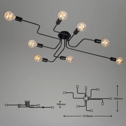 Briloner 2888-085 - Surface-mounted chandelier FARETTO 8xE27/60W/230V black