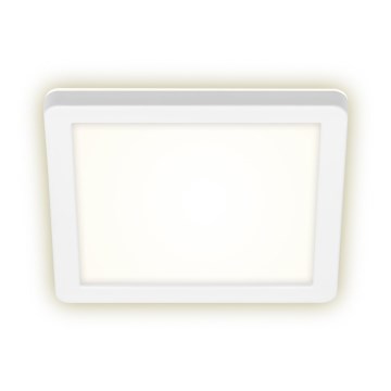 Briloner 3010-016 - LED Ceiling light LED/8W/230V 19x19 cm white IP44