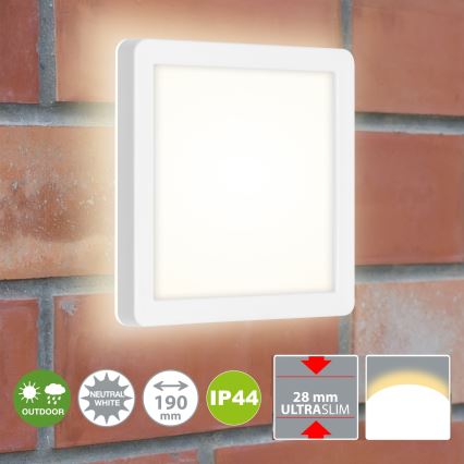 Briloner 3010-016 - LED Ceiling light LED/8W/230V 19x19 cm white IP44