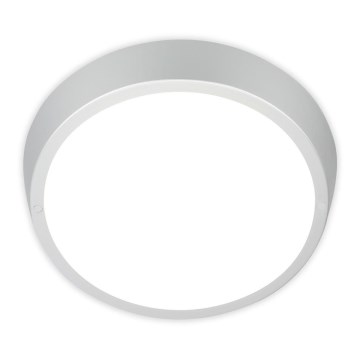 Briloner 3018-014 - LED Bathroom ceiling light HAGEN LED/24W/230V IP44 white