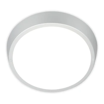 Briloner 3018-014 - LED Bathroom ceiling light HAGEN LED/24W/230V IP44 white