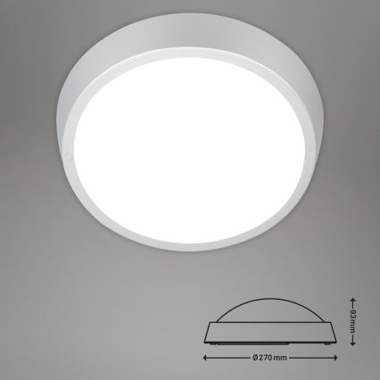 Briloner 3018-014 - LED Bathroom ceiling light HAGEN LED/24W/230V IP44 white