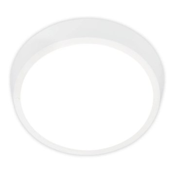 Briloner 3018-016 - LED Outdoor ceiling light HAGEN LED/24W/230V 4000K IP44 white