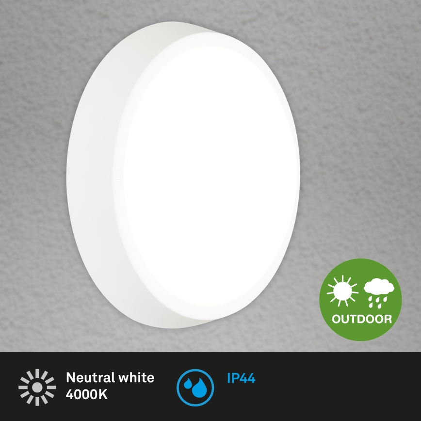 Briloner 3018-016 - LED Outdoor ceiling light HAGEN LED/24W/230V 4000K IP44 white