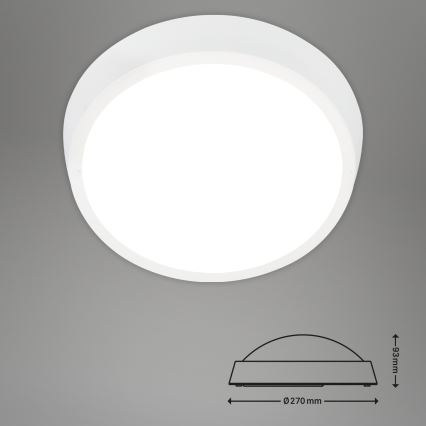 Briloner 3018-016 - LED Outdoor ceiling light HAGEN LED/24W/230V 4000K IP44 white