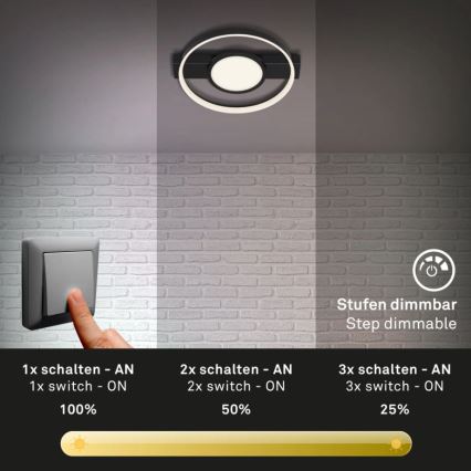 Briloner 3026-015 - LED Dimmable ceiling light FRAME LED/33W/230V