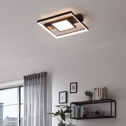 Briloner 3028-015 - LED Dimmable ceiling light FRAME LED/38W/230V