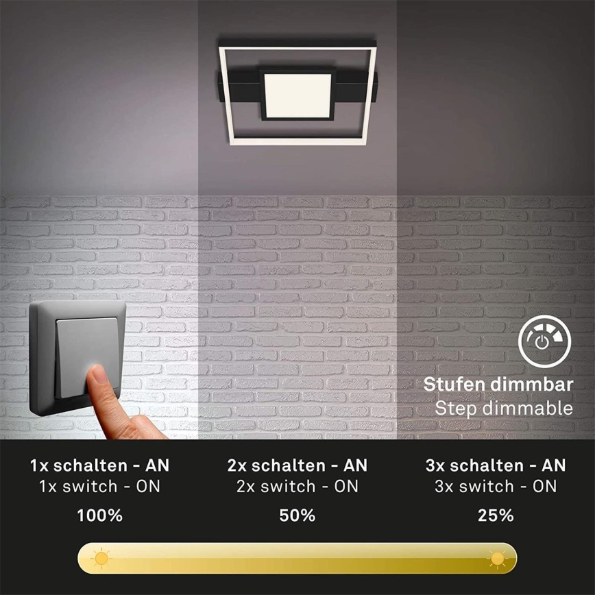 Briloner 3028-015 - LED Dimmable ceiling light FRAME LED/38W/230V