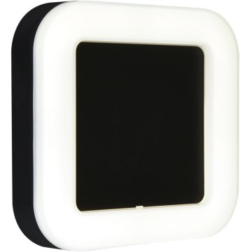 Briloner 3034-015 - LED Outdoor wall light LED/15W/230V 4000K