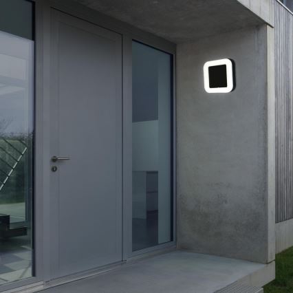 Briloner 3034-015 - LED Outdoor wall light LED/15W/230V 4000K