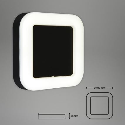 Briloner 3034-015 - LED Outdoor wall light LED/15W/230V 4000K