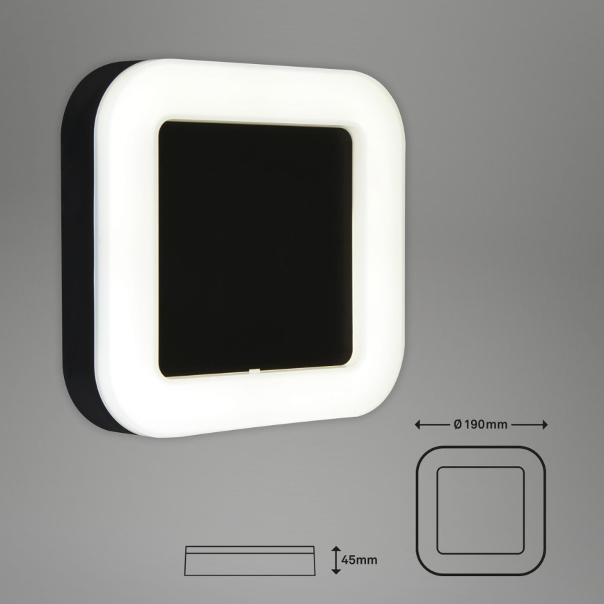 Briloner 3034-015 - LED Outdoor wall light LED/15W/230V 4000K