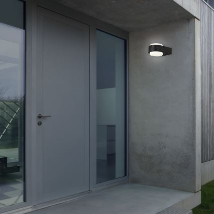 Briloner 3035-015 - LED Outdoor wall light HANAU LED/6,5W/230V IP44 black