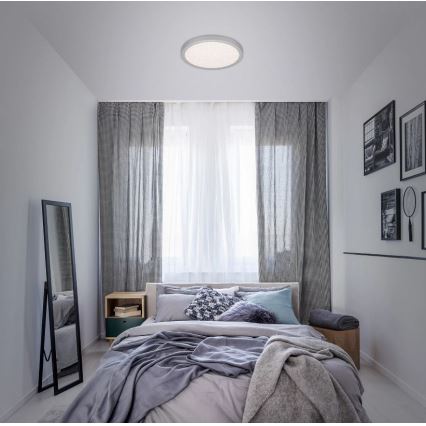 Briloner 3071-014 - LED Ceiling light RUNA LED/24W/230V silver