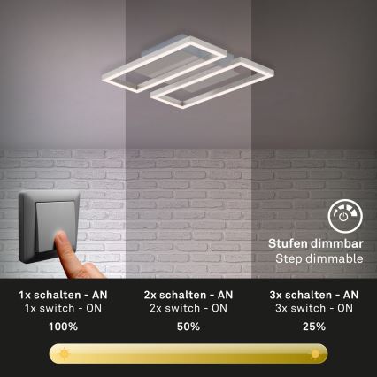 Briloner 3107-012 - LED Dimmable ceiling light FRAME 2xLED/7,25W/230V