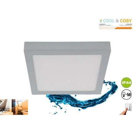 Briloner 3142-018 - LED Bathroom ceiling light COOL&COSY LED/21W/230V 2700/4000K IP44