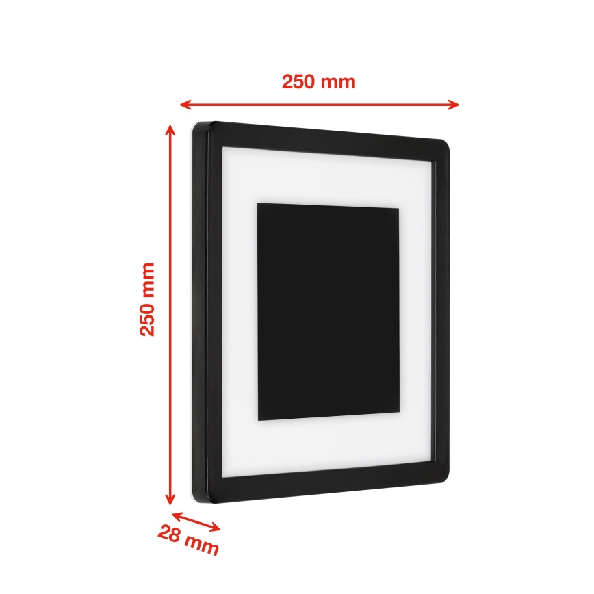 Briloner 315905TF - LED Outdoor wall light LED/15W/230V IP44 4000K black
