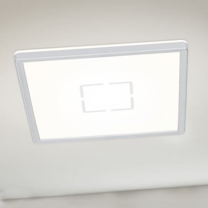 Briloner 3174-014 - LED Ceiling light FREE LED/12W/230V 19x19 cm