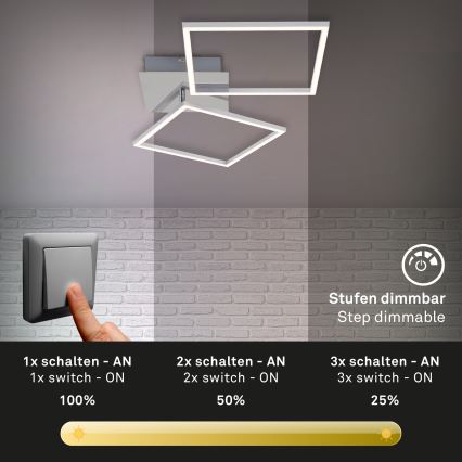 Briloner 3182-018 - LED Dimmable ceiling light FRAME 2xLED/15,5W/230V