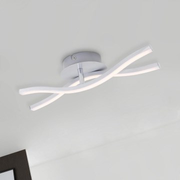 Briloner 3194-029 - LED Surface-mounted chandelier GO 2xLED/6W/230V