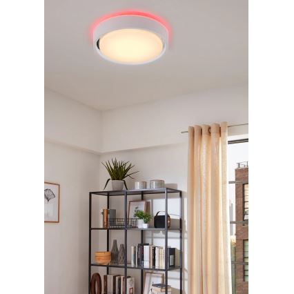 Briloner 3227-016 - LED RGB Dimmable light with sensor TALENA LED/24W/230V white + remote control