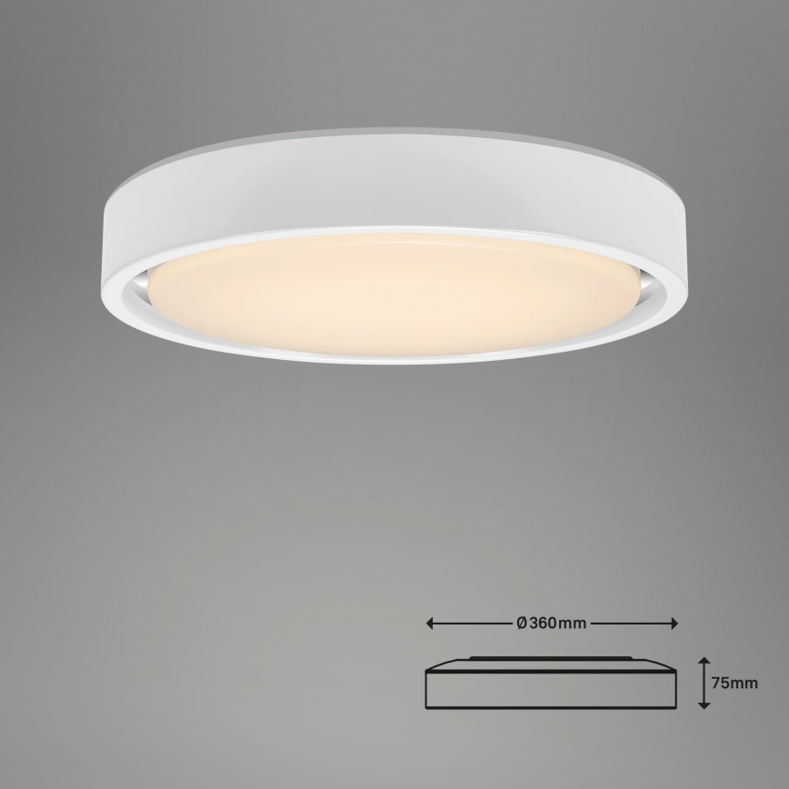 Briloner 3227-016 - LED RGB Dimmable light with sensor TALENA LED/24W/230V white + remote control