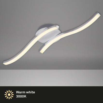 Briloner 3258-029 - LED Ceiling light GO 2xLED/6W/230V