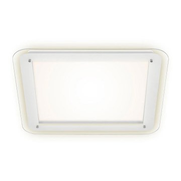 Briloner 3397-016 - LED Ceiling light FREE LED/22W/230V