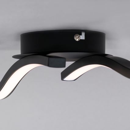 Briloner 3449-015 - LED Surface-mounted chandelier GO 2xLED/6W/230V
