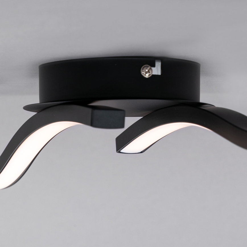Briloner 3449-015 - LED Surface-mounted chandelier GO 2xLED/6W/230V