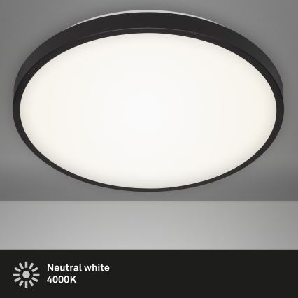 Briloner 3455-215 - LED Ceiling light MANNY LED/24W/230V