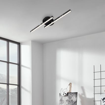Briloner 3517-025 - LED Surface-mounted chandelier REY 2xLED/6W/230V black