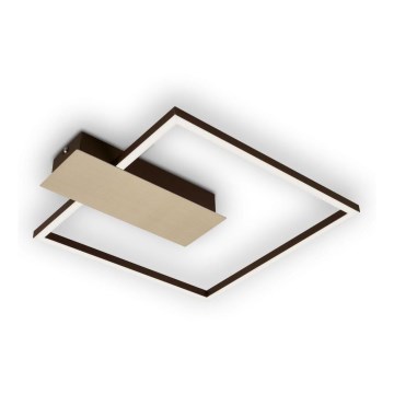 Briloner 3544-017 - LED Dimmable ceiling light NICO LED/12W/230V gold