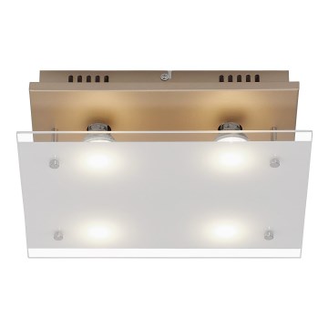 Briloner 3586-047 - LED Ceiling light SMART GOLD 4xGU10/4W/230V