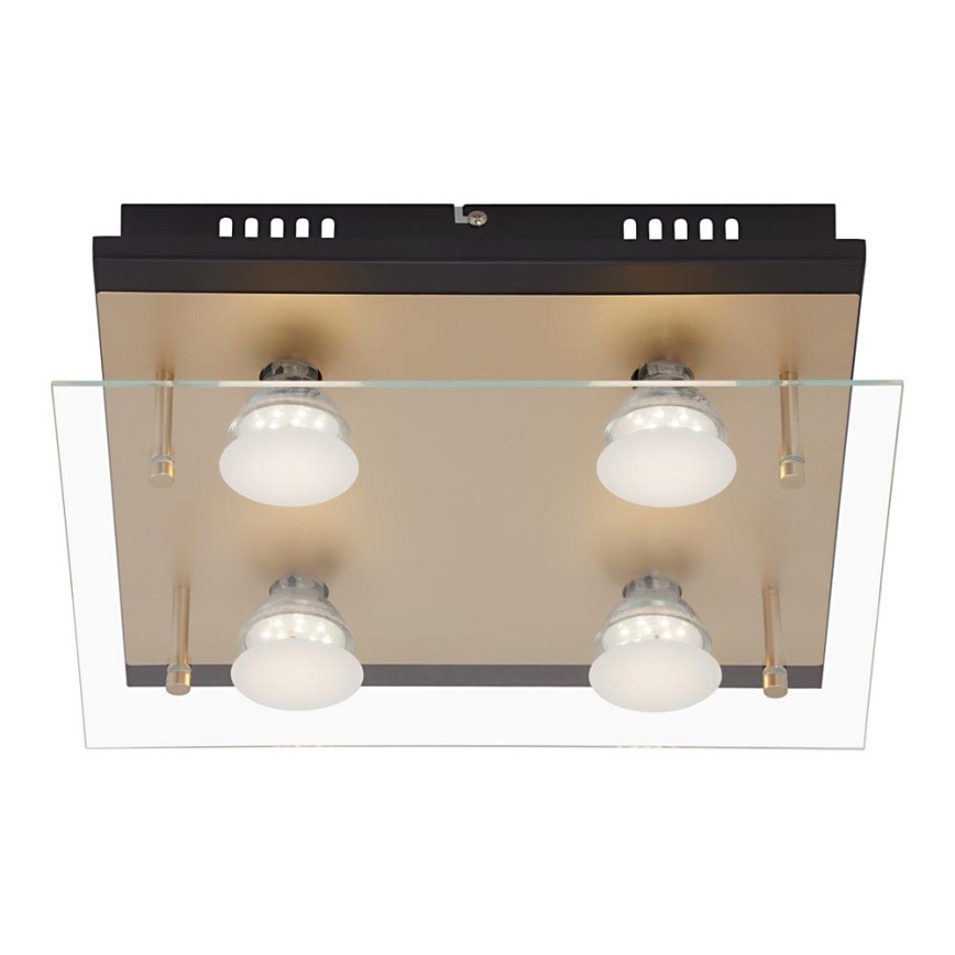 Briloner 3589-045 - LED Ceiling light 4xGU10/4W/230V