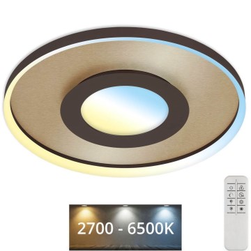 Briloner 3640017 - LED Dimmable ceiling light FRAME LED/25W/230V 2700-6500K + remote control