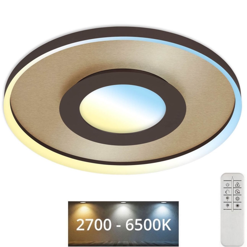 Briloner 3640017 - LED Dimmable ceiling light FRAME LED/25W/230V 2700-6500K + remote control