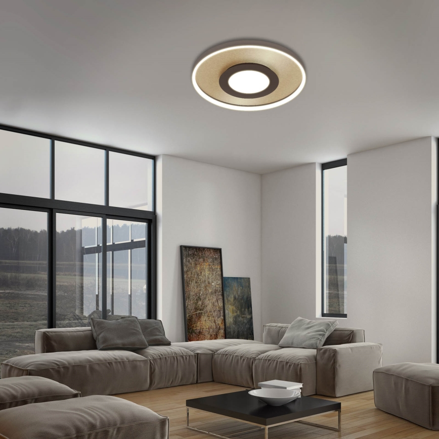 Briloner 3640017 - LED Dimmable ceiling light FRAME LED/25W/230V 2700-6500K + remote control