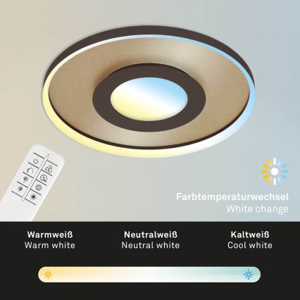 Briloner 3640017 - LED Dimmable ceiling light FRAME LED/25W/230V 2700-6500K + remote control
