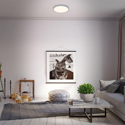 Briloner 3703-014 - LED Ceiling light RUNA LED/24W/230V 3000K d. 38 cm silver