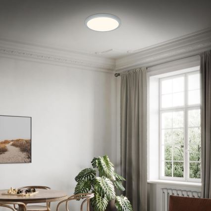 Briloner 3703-014 - LED Ceiling light RUNA LED/24W/230V 3000K d. 38 cm silver