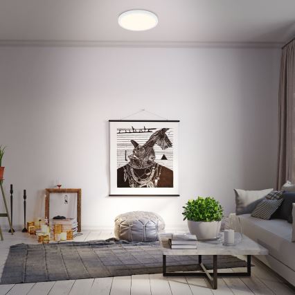 Briloner 3704-016 - LED Dimmable ceiling light RUNA LED/22W/230V 2700-6500K white + remote control