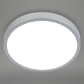 Briloner 3709-014 - LED RGBW Dimmable ceiling light LED/22W/230V 4000K d. 38 cm silver + remote control